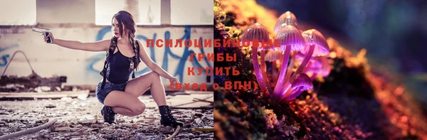 индика Магадан