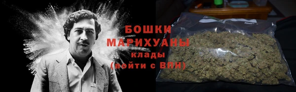 ПСИЛОЦИБИНОВЫЕ ГРИБЫ Магас