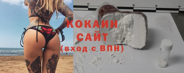 ПСИЛОЦИБИНОВЫЕ ГРИБЫ Магас