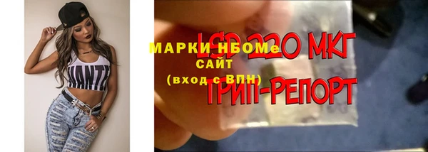 ПСИЛОЦИБИНОВЫЕ ГРИБЫ Магас