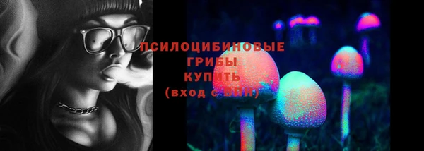 индика Магадан
