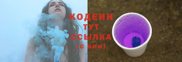 индика Магадан