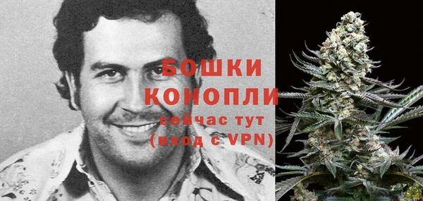 индика Магадан