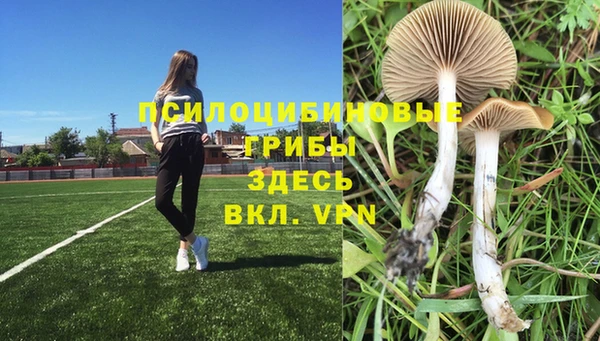 винт Майский