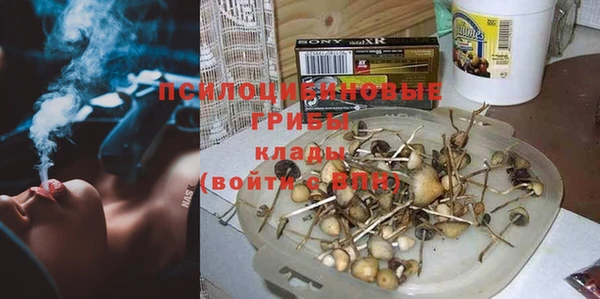 индика Магадан