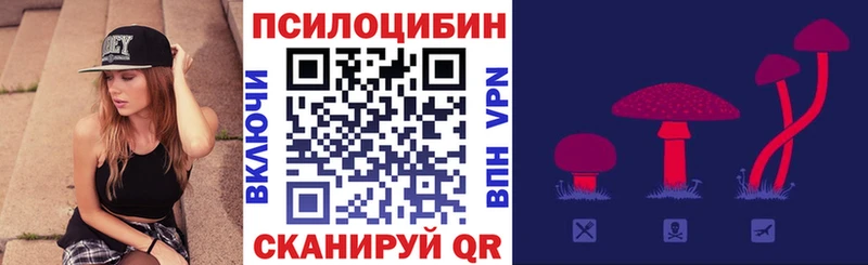 купить наркотики цена  Черкесск  Псилоцибиновые грибы Magic Shrooms 