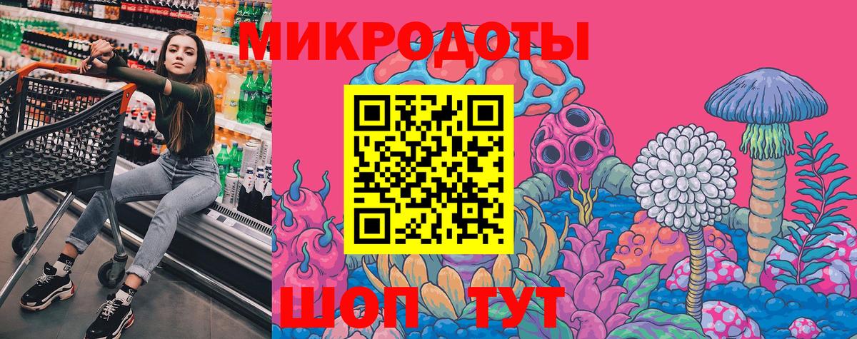 Черкесск  Псилоцибиновые грибы Psilocybine cubensis  Вход с VPN  Псилоцибиновые грибы прущие грибы 