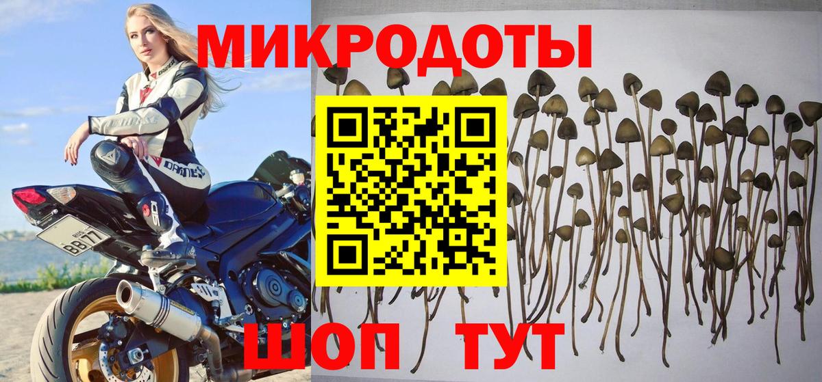 Галлюциногенные грибы ЛСД Черкесск
