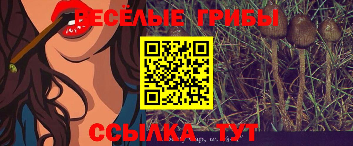 Псилоцибиновые грибы Magic Shrooms  Галлюциногенные грибы MAGIC MUSHROOMS  Черкесск 