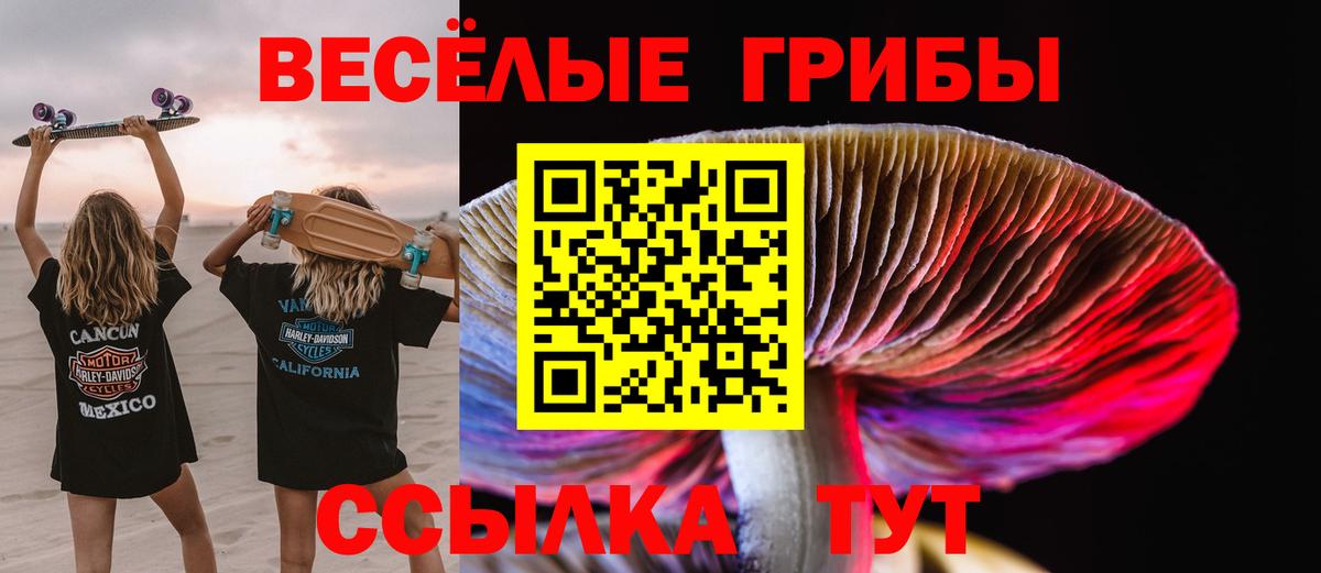 Галлюциногенные грибы Cubensis Черкесск