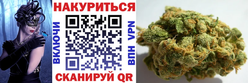 Каннабис индика  Черкесск 